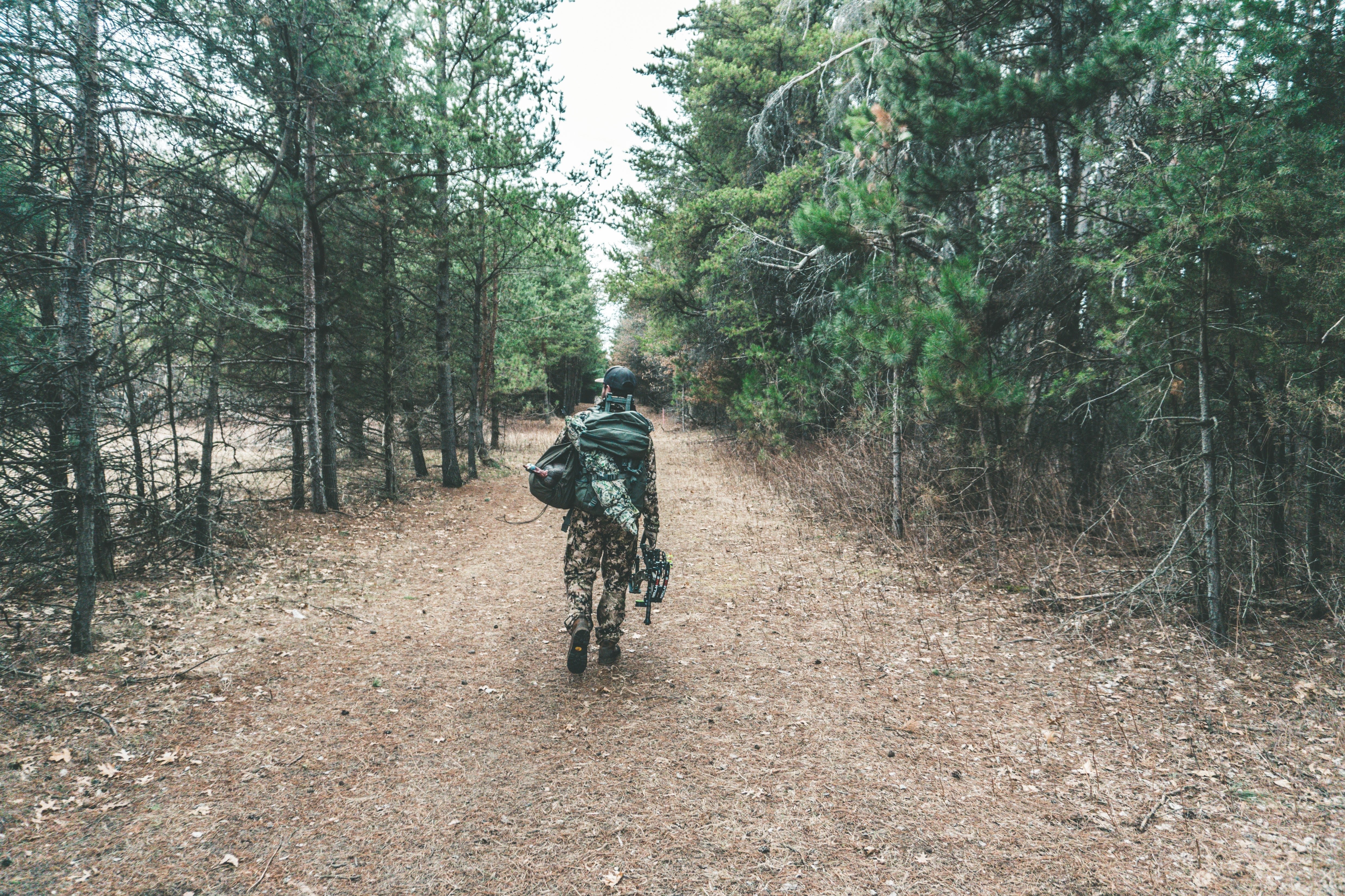 Lessons Only the Woods Can Teach You🌲