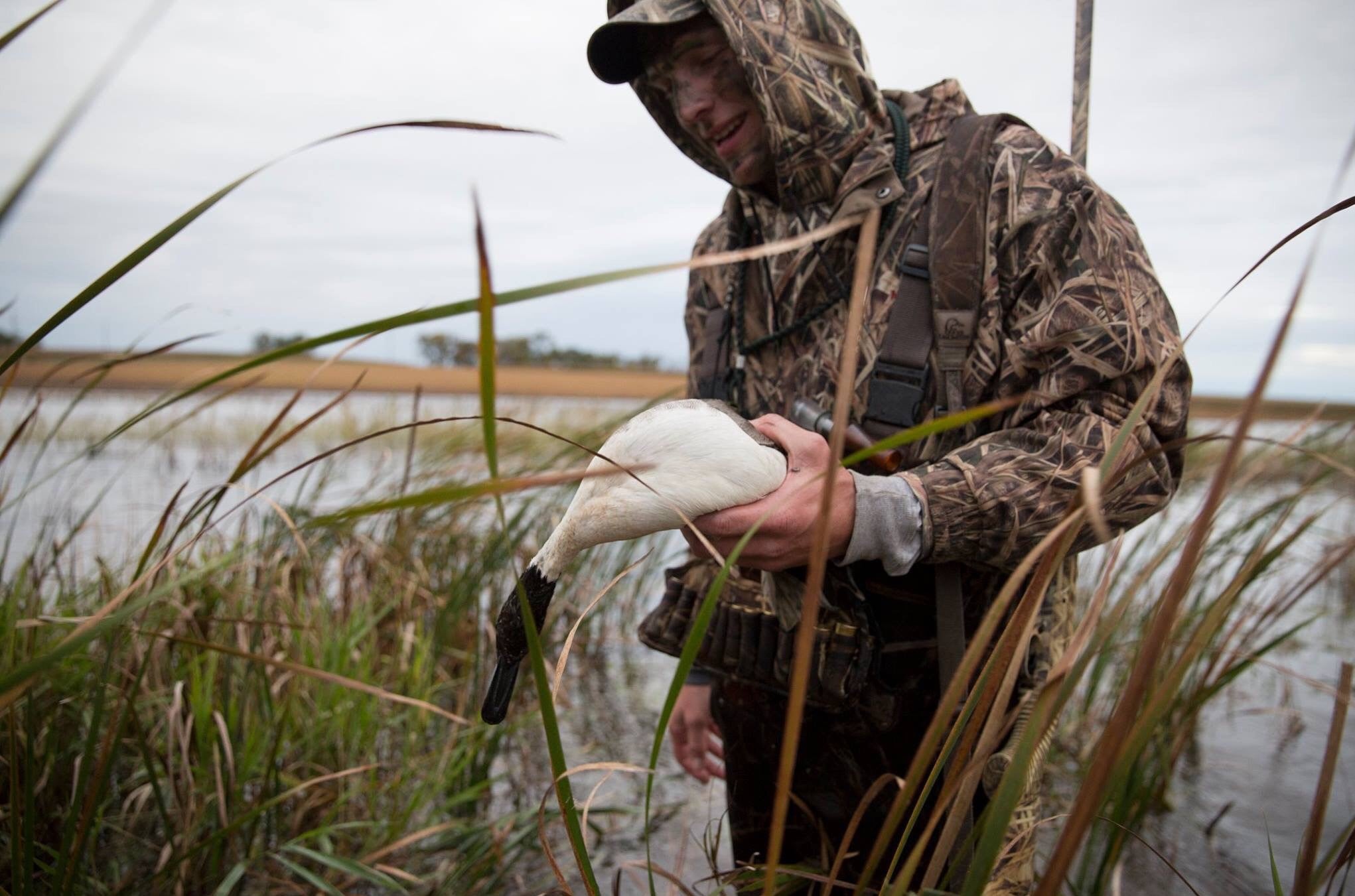 Camp Talk: Mallards on a Monday - River Brothers Outfitters