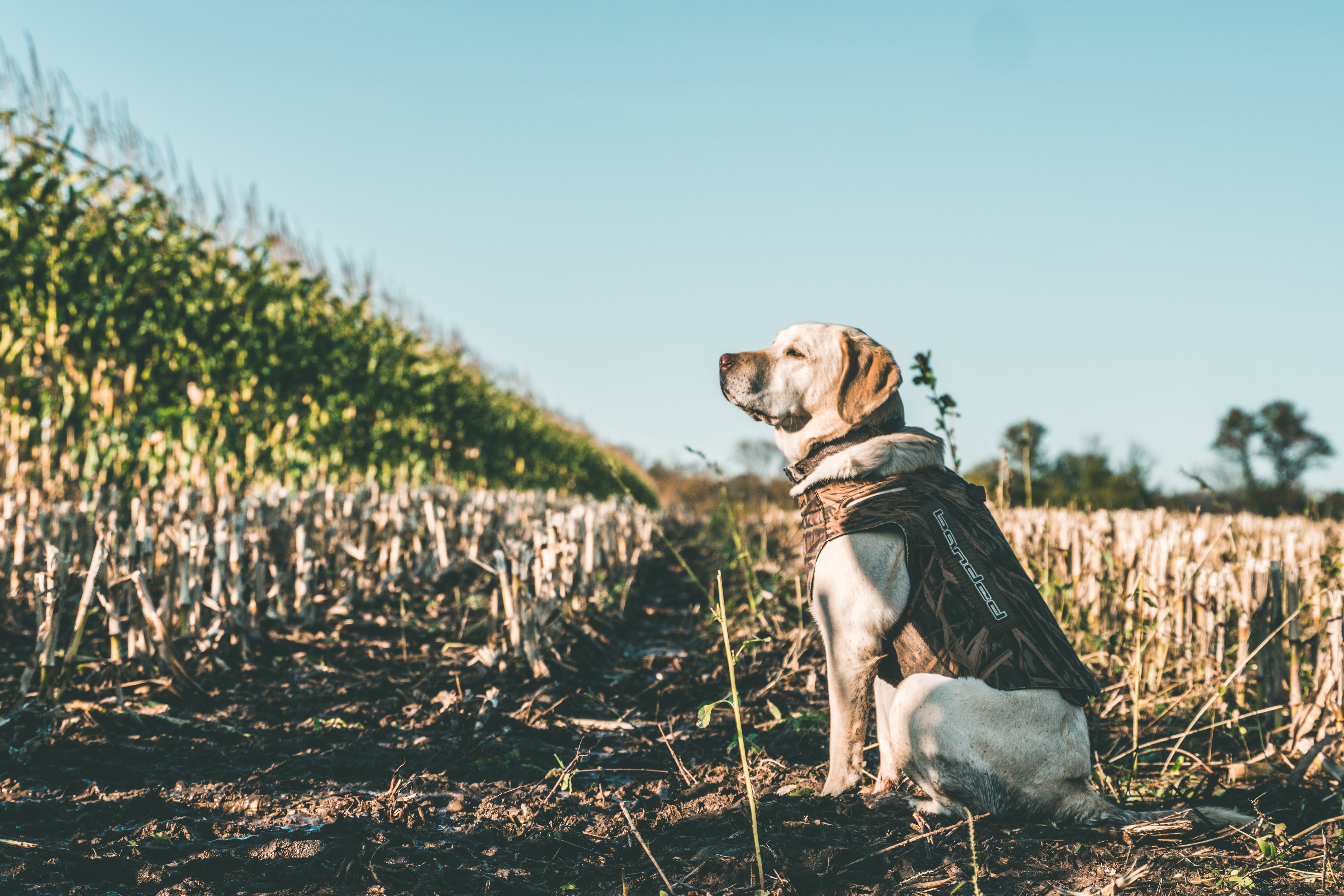 Waitin' on the Season - River Brothers Outfitters